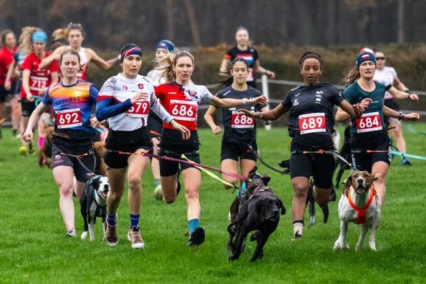 Češi v Pardubicích sbírali úspěchy na mistrovství světa v mushingu