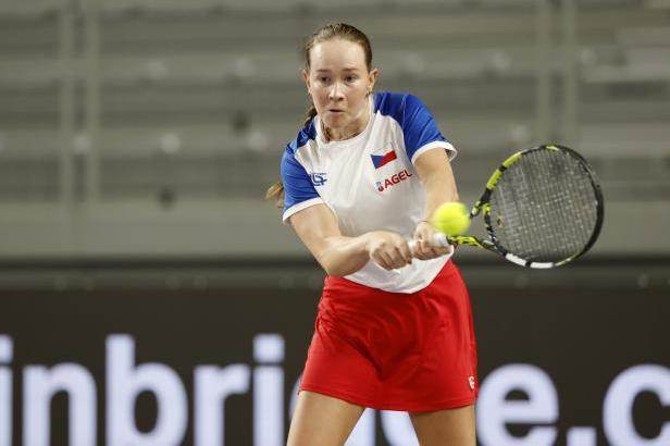 Snad navážu na svou stoprocentní bilanci, věří "důchodkyně" mezi českými tenistkami Šalková