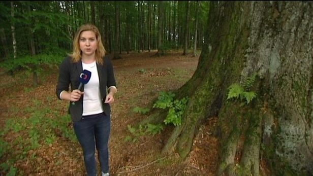 je 15 let starý z roku 18 let špatně